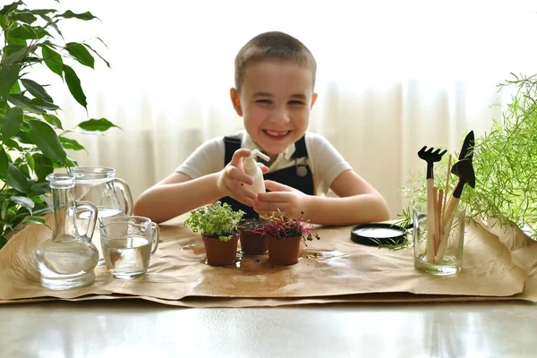 Boy Cheerfully Squinting Laughs His Hands Spray Caring Sprouts Micro — Stock Photo, Image