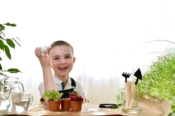 Boy Sits Table Garden Tool Takes Care Plants Happy Job — Stock Photo, Image