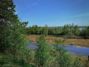 Surgut Rusya meydanı. Uzaktaki Ob Nehri vadisi boyunca ağaçlar gökyüzü ile birleşiyor, açık bir gün..