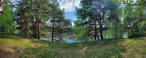 Panorama Plac Rosji Surgutów Drzewa Wzdłuż Doliny Rzeki Oddali Łącząc — Zdjęcie stockowe