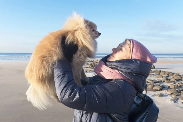 Elderly senior mature woman in a down jacket and hat holding, walking looking at her beautiful Pomeranian Spitz dog on hands in a cold winter day on beach, sea or gulf. Love pet concept.