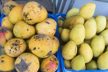 Piyasada farklı mango türleri var. Sarı olgun meyveler kutularda. 