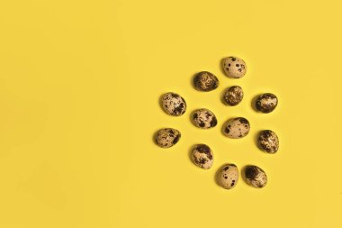 Sarı arka planda bir grup bıldırcın yumurtası. Uzayı kopyala Üst Manzara. Çevresel organik sağlıklı ürünler. Pişmemiş küçük doğal taze yumurtalar.