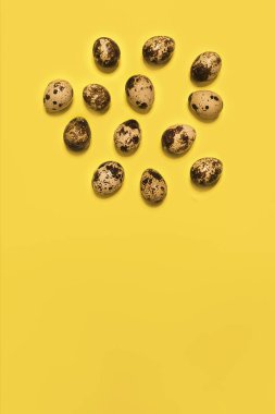 Sarı arka planda bir grup bıldırcın yumurtası. Uzayı kopyala Üst Manzara. Çevresel organik sağlıklı ürünler. Pişmemiş küçük doğal taze yumurtalar. Dikey fotoğraf