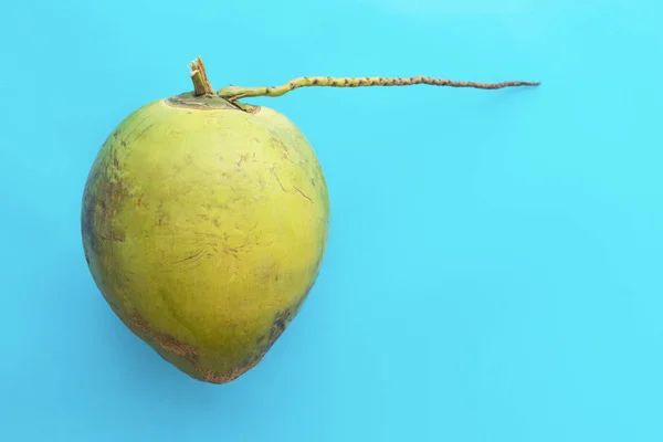 Eine Ganze Ungeschälte Junge Grüne Kokosnuss Isoliert Auf Blauem Hintergrund — Stockfoto