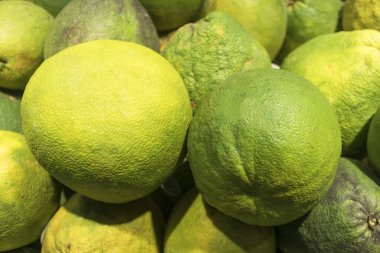 Markette taze zeytinyağı, yeşil greyfurtlar. Citrus meyveleri, C vitamini.