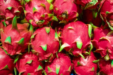 Taze olgun ejderha meyveleri, kaktüsler arka plan, pitayalar veya Asya pazarında pitahayalar. Bir grup egzotik tropikal meyve