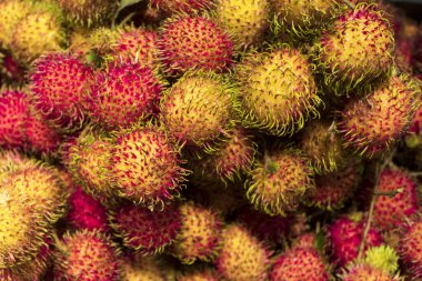 Kırmızı ve sarı rambutanların arka planı, kıllı yuvarlak tropikal meyveler.