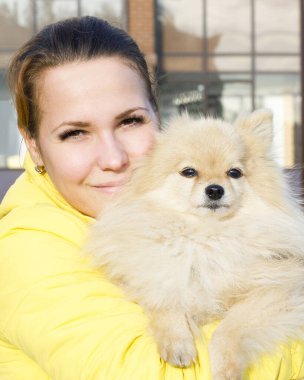 Pomeranya köpeğini elinde tutarak kameraya bakan mutlu ve pozitif genç bir kadının dikey fotoğrafını çek. Kız küçük tüylü sevimli köpeğiyle yürüyor. İnsanlar evcil hayvan konseptine bayılır..