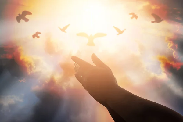 İnsan elinin hurma ibadet kadar açın. Eucharist terapi korusun Tanrı o