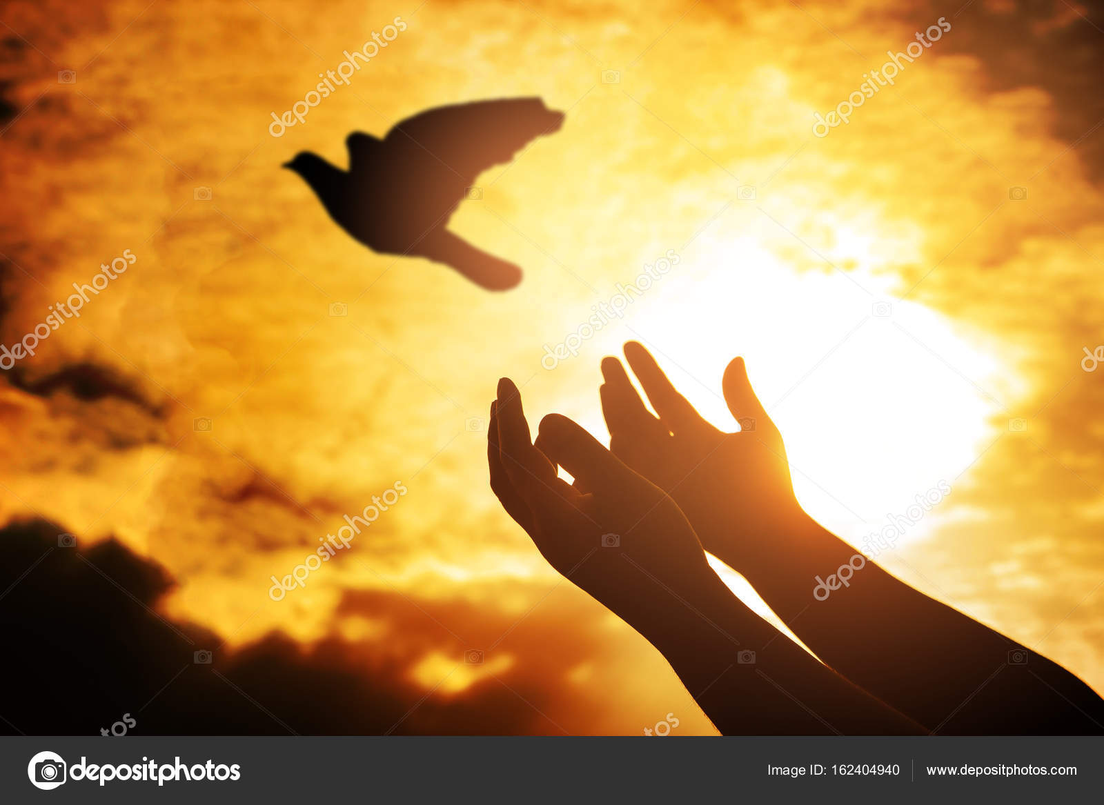 Lhomme Oiseau Priante Et Sans Profiter De La Nature Sur