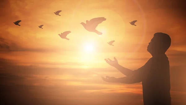 男人享受大自然上日落背景 举手的人的祈祷和自由鸟 信仰基督教或自由概念背景 剪影鸽子飞出两只手和自由的概念和国际和平日 — 图库照片