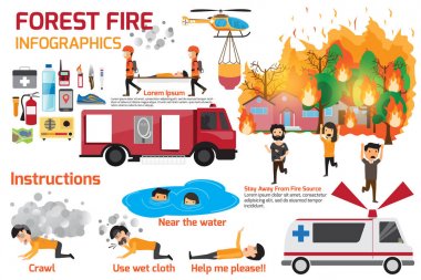 Orman yangını infographics. Yangın alevler içinde yanan Orman ağaçları - 