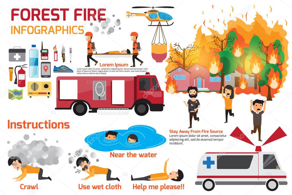 Forest Fire infographics. burning forest trees in fire flames - 