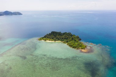 Okyanus dalgaları, plaj ve kayalık kıyı şeridi hava üst görünümü ve