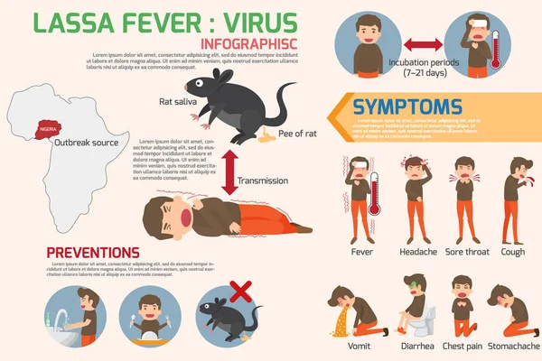 Lassa fever virus infographics elements. Lassa fever symptoms an — Stock Vector