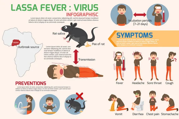 Elementos infográficos del virus de la fiebre Lassa. Síntomas de la fiebre de Lassa an — Archivo Imágenes Vectoriales