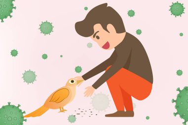 Kuş gribi bilgi elementleri. Kuş gribi. Tartışma devam ediyor 