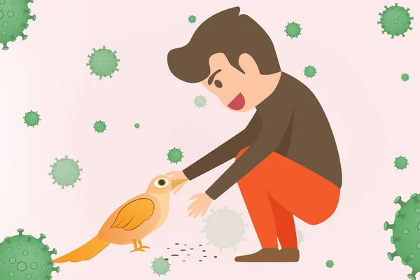 Elementi infografici dell'influenza aviaria. Malattia dell'influenza aviaria. Discussione sul tema — Vettoriale Stock