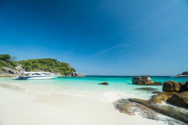 Okyanus dalgaları, güzel tropikal sahil ve kayalık sahil şeridi ve güzel orman. Nga Khin Nyo Gyee Adası Myanmar. Güney Myanmar 'daki tropikal deniz ve adalar