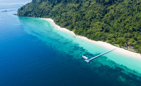 Widok Lotu Ptaka Fale Oceaniczne Plaża Skaliste Wybrzeże Piękny Las — Zdjęcie stockowe