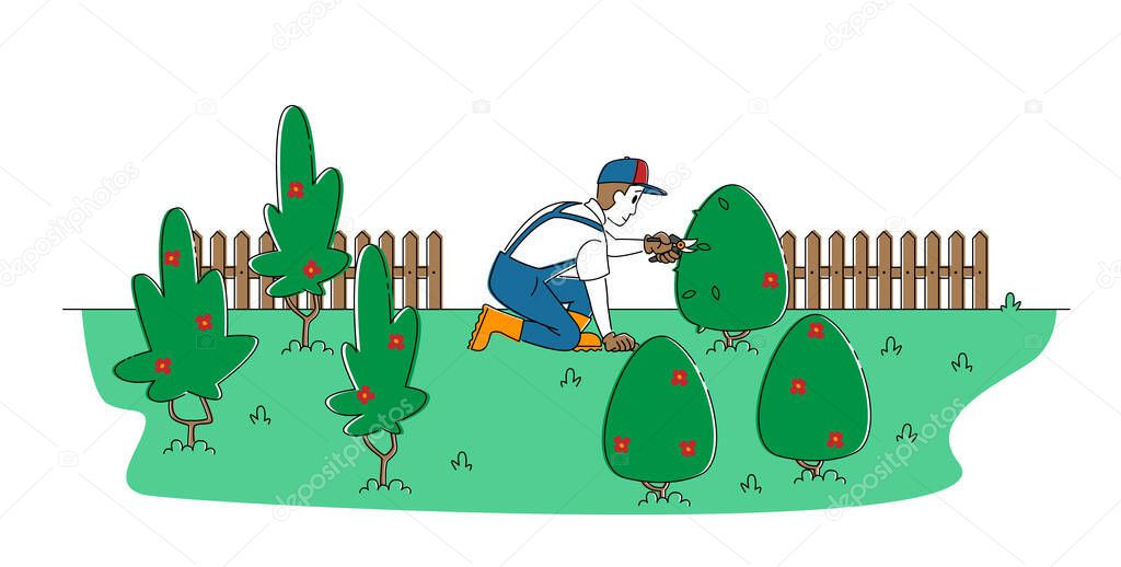 Worker Male Character Trimming Bush in Garden. Man Cut Hedge in Orchard Doing Gardener Works Prune Shrub with Scissors. Cottager Occupation, Summer Yardwork Maintenance. Linear Vector Illustration