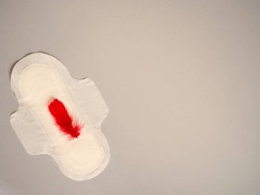 Gri arka planda kırmızı tüy olan adet yastığı. Minimalist hala hayat fotoğrafçılığı konsepti. Kadınlar kritik günler, jinekolojik adet döngüsü konsepti