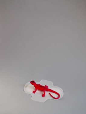 Gri arka planda kırmızı kertenkele olan adet yastığı. Minimalist hala hayat fotoğrafçılığı konsepti. Kadınlar kritik günler, jinekolojik adet döngüsü konsepti