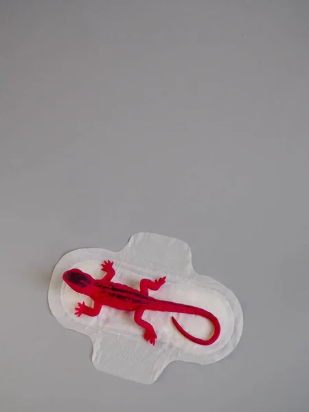 Gri arka planda kırmızı kertenkele olan adet yastığı. Minimalist hala hayat fotoğrafçılığı konsepti. Kadınlar kritik günler, jinekolojik adet döngüsü konsepti