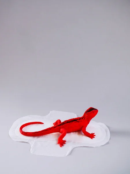 Gri arka planda kırmızı kertenkele olan adet yastığı. Minimalist hala hayat fotoğrafçılığı konsepti. Kadınlar kritik günler, jinekolojik adet döngüsü konsepti