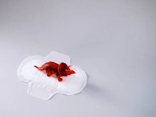 Gri arka planda kırmızı triceratops olan adet pedi. Minimalist hala hayat fotoğrafçılığı konsepti. Kadınlar kritik günler, jinekolojik adet döngüsü konsepti