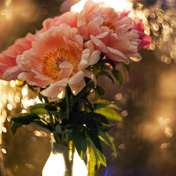 Cam bir vazoda güzel pembe şakayıklar. Ayna masasındaki vazoda çiçekler. Bokeh 'li şakayıklar.