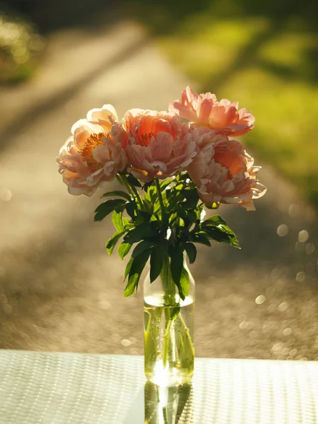 Cam bir vazoda güzel pembe şakayıklar. Ayna masasındaki vazoda çiçekler. Bokeh 'li şakayıklar.