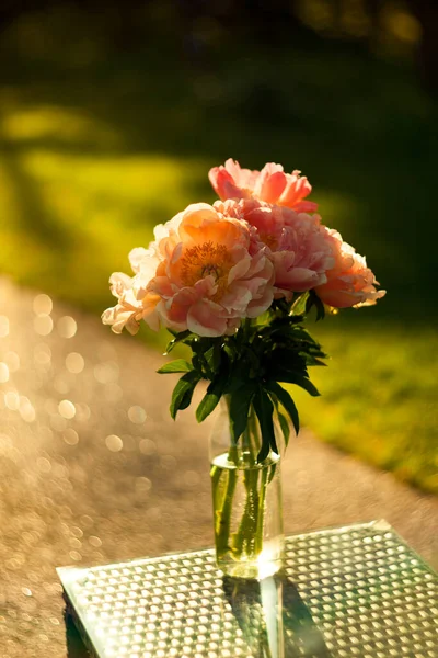 Cam bir vazoda güzel pembe şakayıklar. Ayna masasındaki vazoda çiçekler. Bokeh 'li şakayıklar.