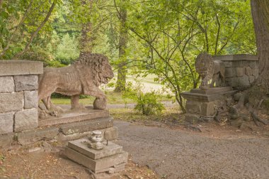 Ayçiçeği detayını bir görüntüsüdür
