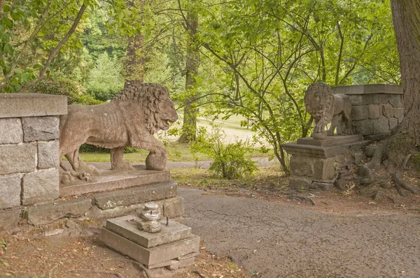 Ayçiçeği detayını bir görüntüsüdür