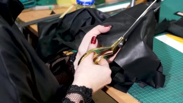 Produtos de couro de costura. DIY artesanal — Vídeo de Stock