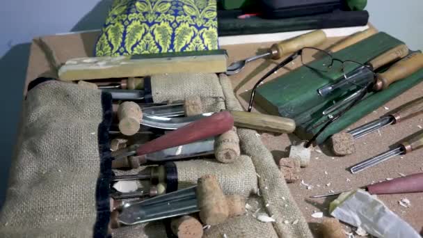 Tallado en madera, cinceles, artesanía, ataúdes, bricolaje — Vídeo de stock