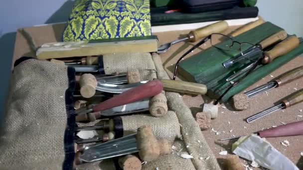 Escultura em madeira, cinzéis, feitos à mão, artesanato, caixões, bricolage — Vídeo de Stock