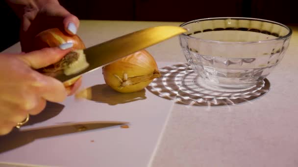 切洋葱做沙拉和肉 — 图库视频影像