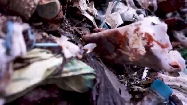 Çöpe atılmış toprak gezegeni. Her yerde bir plastik var. Ekoloji. — Stok video