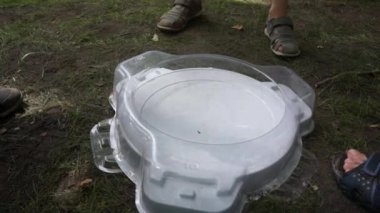 Vahşi doğadaki çocuklar beyblade oynarlar