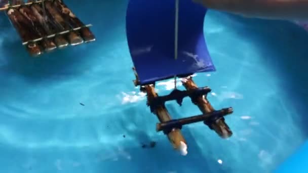 Barn leker båtar i en liten pool — Stockvideo