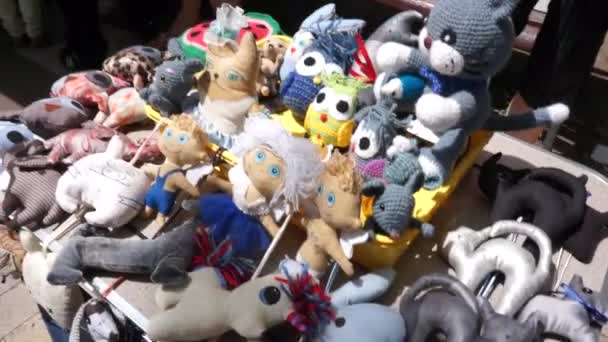 Funny home-made soft toys, cats and dogs — Stock Video