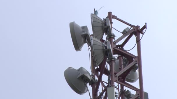 Basstationer För Mobiloperatörer Belägna Staden Och Taken — Stockvideo