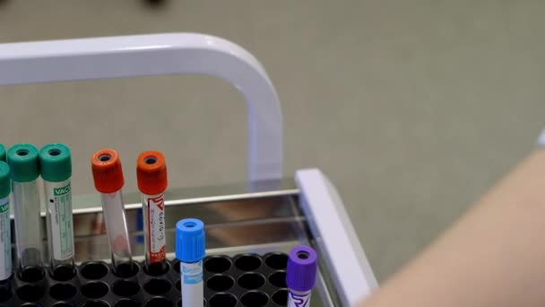 Tomar un análisis de sangre para una prueba de coronavirus — Vídeos de Stock