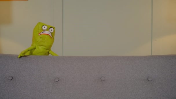 Casal jogando show de fantoches na sala de estar — Vídeo de Stock