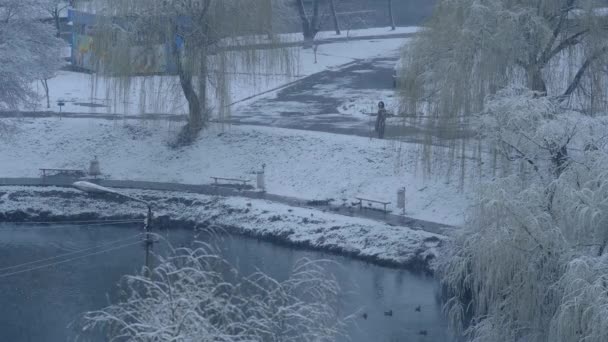 Вид з вікна. Перший сніг або сніг навесні — стокове відео