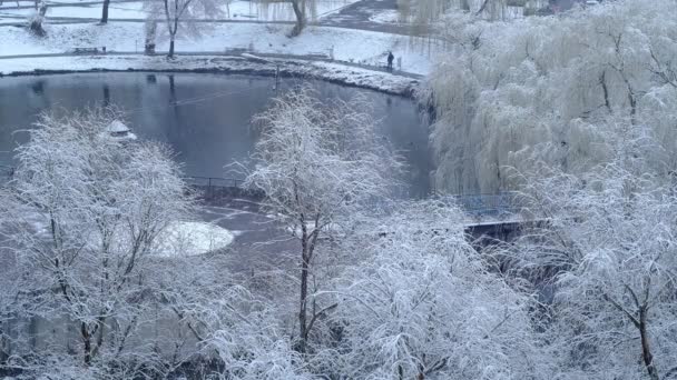 Blick aus dem Fenster. Erster Schnee oder Schnee im Frühling — Stockvideo