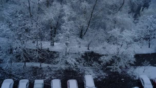 Zicht vanuit het raam. Eerste sneeuw of sneeuw in het voorjaar — Stockvideo